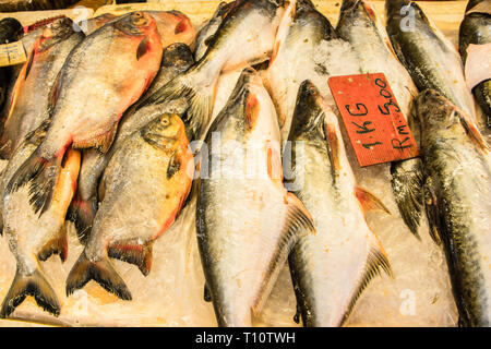 Frischer Fisch in Chinatown Wet Market, Kuala Lumpur, Malaysia Stockfoto