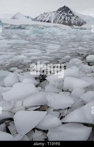 Antarktis, unterhalb der Antarktis Kreis. Antarktische Halbinsel, Marguerite Bay, Mystic Island. Bucht gefüllt mit Eis aus dem Nordosten Gletscher. Stockfoto