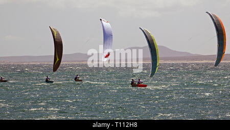 In La Ventanna, Baja, Mexiko, Kitesurfen, Segeln oder kitesailing ist ein beliebter Sport unter amerikanischen Besucher. Stockfoto