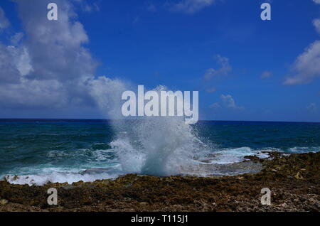 Grand Cayman Blowhole Stockfoto