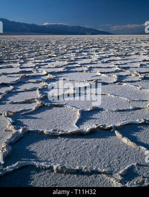 USA, Kalifornien, Death Valley National Park, polygonalen Muster in den Salzsee auf dem Boden des Death Valley und die fernen Panamint Mountains. Stockfoto