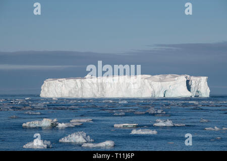 Antarktis, unterhalb der Antarktis Kreis. Eis gefüllt Bucht in der bellingshausen Meer in kristallklarem Sound. Tabellarische Eisbergs. Stockfoto