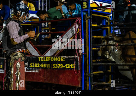 Bull rider fertig, an Guatemaltekischen Rodeo reiten Stockfoto