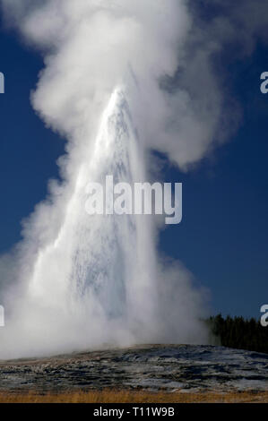 Wolken von Dampf und einen Strom von kochendem Wasser von Old Faithful, der Berühmteste von mehr als 500 aktive Geysire im Yellowstone National Park, der spreizt die Staaten Wyoming, Montana und Idaho in den USA ausbricht. Die Zeit zwischen dem Ausbruch des Old Faithful reicht von 60 bis 110 Minuten, und seinen Auslauf kann in der Höhe von 106 bis 184 Fuß (32-56 Meter variieren). Ausbrüche dauern in der Regel zwischen 1,5 bis 5 Minuten. Geysire sind unter 10.000 hydrothermalen Wunder des Parks, dass gehören bunte Hot Springs, Schlammtöpfe und Fumarolen (dampfschlote). Stockfoto