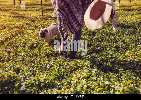 Frau wandern Mops Hund im Frühjahr Wald. Happy Puppy läuft unter gelbe Blumen in den Morgen und kaut Gras. Hund Spaß Stockfoto