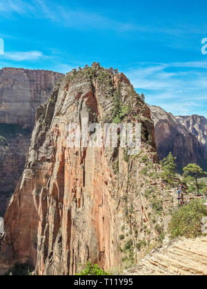 Canyon, der Zion National Park Blick vom Wanderweg zum Angels Landing Gipfel, Utah usa Stockfoto