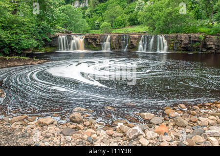 Wain Wath fällt auf den Fluss Swale in Swaledale in den Yorkshire Dales im Sommer - Juni Stockfoto