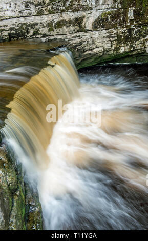 Stainforth Beck auf dem Fluss Ribble in Ribblesdale in den Yorkshire Dales National Park im Sommer Stockfoto