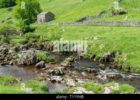 Langstrothdale, die im oberen Bereich der Wharfedale in den Yorkshire Dales National Park an einem Sommertag. Das ist der obere Abschnitt der Wharfedale Stockfoto