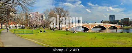 Panoramablick über Wochen Steg und Charles River Bank im frühen Frühling. Leute chillen, Wandern und Radfahren. Die Fußgängerbrücke verbindet Harv Stockfoto