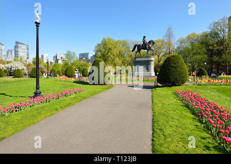 Tulip Jahreszeit in Boston Public Garden Stockfoto