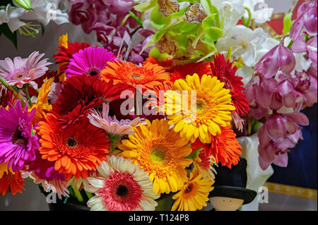 Schönen Blumenstrauß aus roten Gerbera in einem Glas Vase in den Blumenmarkt. Close Up. Stockfoto