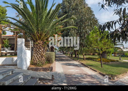 Park an der Metamorfosi Strand an der Halbinsel Sithonia, Chalkidiki, Zentralmakedonien, Griechenland Stockfoto