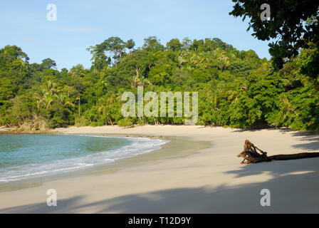 Ruhige La Macha Beach, Costa Rica, am frühen Morgen verlassen Stockfoto