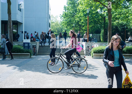 Bilder rund um das Gelände der Universität Tilburg in den Niederlanden, zeigen Menschen Wandern und Radfahren rund um den College Campus Stockfoto