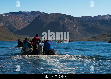 Touristen reiten auf Tierkreiszeichen in Arsuk Fjord, Grönland Stockfoto