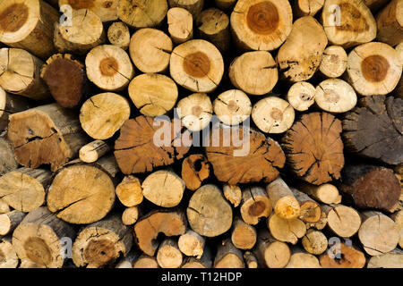 Nahaufnahme von einem Stapel von Protokollen, die den Querschnitt, am Kreuz Schnitte suchen, das Muster der Baumstumpf Hintergrund. Stockfoto