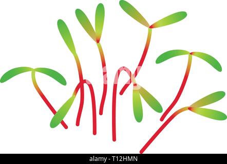 Microgreens Mangold. Bündel von Pflanzen. Vitamin Supplement, veganes Essen Stock Vektor