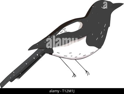 Magpie Crow illustration Vektor ein Vogel Farbe Textur Element schwarze und weiße Wildnis Wald nettes Gesicht Auge schlafen flying Dove Peace Zeichen lustige sim Stock Vektor