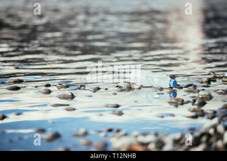 Plastikflasche liegt auf dem steinigen Strand, Umweltverschmutzung Stockfoto