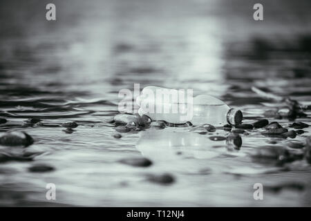 Plastikflasche liegt auf dem steinigen Strand, Umweltverschmutzung Stockfoto
