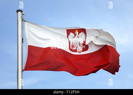 Flagge von Polen Stockfoto