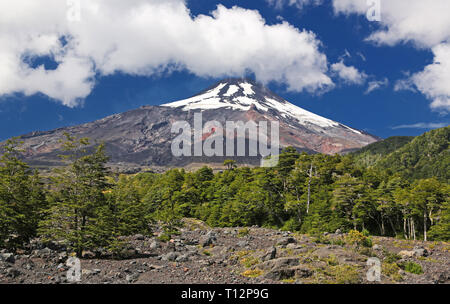 In Villarrica Vulkan Villarrica N.P. (Chile) Stockfoto