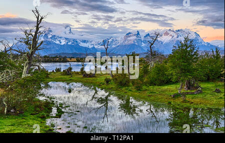 Abend am Rio Serrano - Torres del Paine N.P. (Patagonien, Chile) Stockfoto