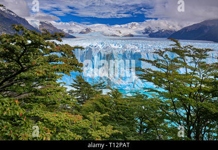 Perito Moreno Gletscher im Los Glaciares Nationalpark N.P. (Argentinien) Stockfoto