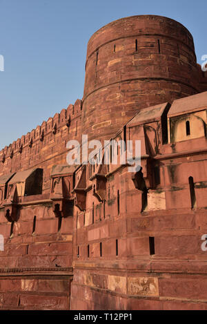 Die imposante rote Sandstein Stadtmauer von Amar Singh Gate, Agra Fort. Zwischen 1565 und 1573 von Kaiser Akbar, Agra, Indien, Asien gebaut. Stockfoto