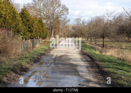 Unbefestigte Straße überqueren einer Farm in Frankenthal - Deutschland Stockfoto