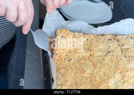 Hausgemachten Apfelkuchen - frisch gebacken. Stockfoto