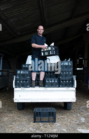 Ein echter Milch Mann steht auf seine Milch schweben mit Milchflaschen in einer Kiste Stockfoto