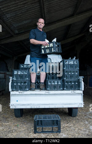 Ein echter Milch Mann steht auf seine Milch schweben mit Milchflaschen in einer Kiste Stockfoto