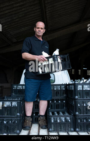 Ein echter Milch Mann steht auf seine Milch schweben mit Milchflaschen in einer Kiste Stockfoto