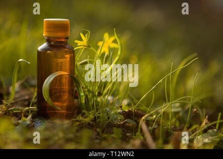 Natürliche Heilmittel, Aromatherapie - bach Therapie. Frische Kräuter - Natürliche Heilmittel, amber Bott. Stockfoto