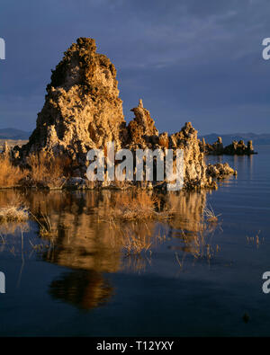 USA, Kalifornien, Inyo National Forest, Mono Basin National Forest Scenic Area, Sonnenaufgang auf Tuffstein Türme entlang der Ufer des Mono Lake am South Tufa Area. Stockfoto