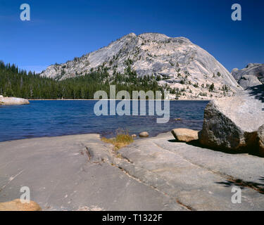 USA, Kalifornien, Yosemite Nationalpark, Ausgesetzt Granit von Polly Kuppel steigt über Tenaya Lake und immergrünen Wald. Stockfoto