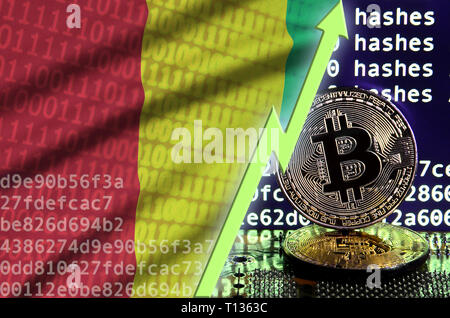 Guinea Flagge und steigende grünen Pfeil auf bitcoin Bergbau und zwei physischen golden Bitcoins. Konzept der hohe Umwandlung in cryptocurrency Bergbau Stockfoto