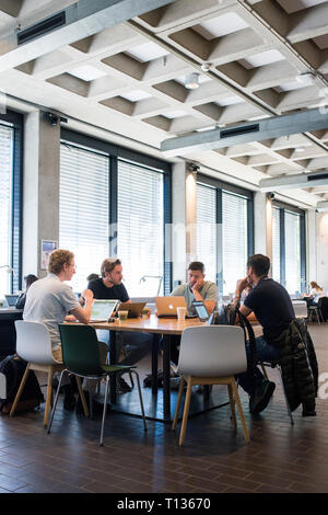 Bereiche des modernen Campus der Universität Amsterdam. Stockfoto