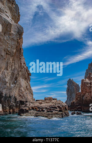 Seelöwen in der Sonne zu aalen im Lands End Resort von Cabo San Lucas an der Südspitze der Baja California in Mexiko Stockfoto