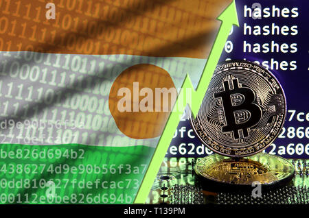 Niger Flagge und steigende grünen Pfeil auf bitcoin Bergbau und zwei physischen golden Bitcoins. Konzept der hohe Umwandlung in cryptocurrency Bergbau Stockfoto