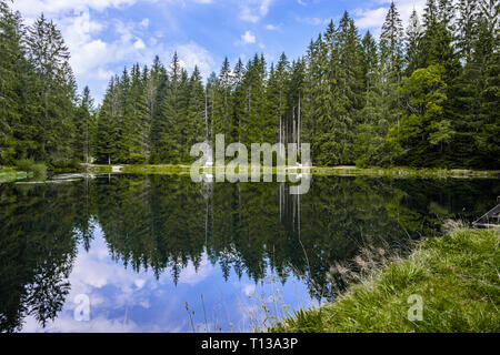 Künstlicher See Sandsee im Nördlichen Schwarzwald, Deutschland, Gemeinschaft Bühl, ehemaliger Wasserspeicher für Holztransport Stockfoto