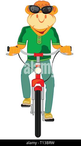 Vector Illustration der Cartoon Tier auf Transport facility Fahrrad Stock Vektor