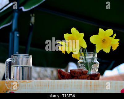 Narzisse Blumen im Glas Stockfoto