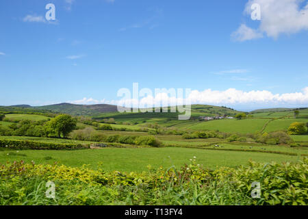 Die devon Landschaft in der Nähe von Arlington, Devon, Großbritannien Stockfoto