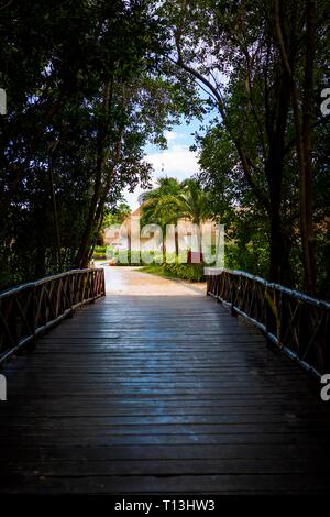 Rustic wooden bridge walk way shaded and silhouetted by trees and jungle down luxury Caribbean beach resort on the Riviera Maya in the Caribbean Stockfoto