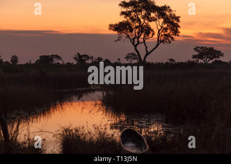 Orange Sonnenuntergang Silhouetten Landschaft am Fluss im Okavango Stockfoto