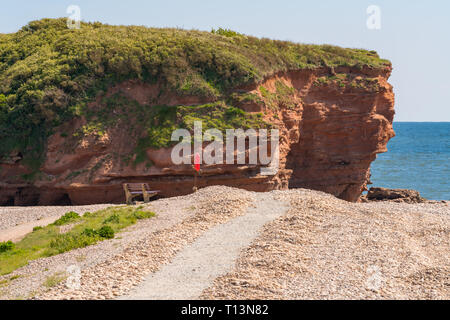 Strand in Budleigh Salterton in Richtung Otterton Ledge, Jurassic Coast, Devon, Großbritannien Stockfoto