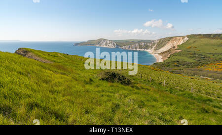 Klippen an der Jurassic Coast, South West Coast Path zwischen Worbarrow Bucht und Brandy Bay, Dorset, Großbritannien gesehen Stockfoto